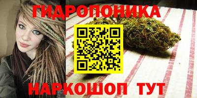 гашик Бузулук